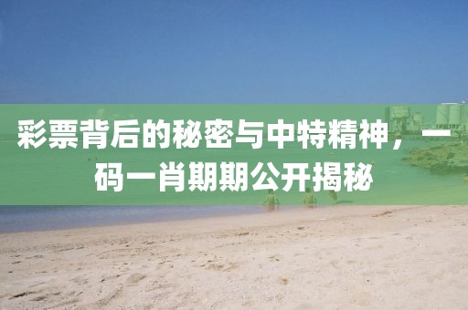 彩票背后的秘密与中特精神，一码一肖期期公开揭秘