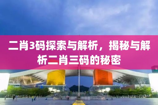 二肖3码