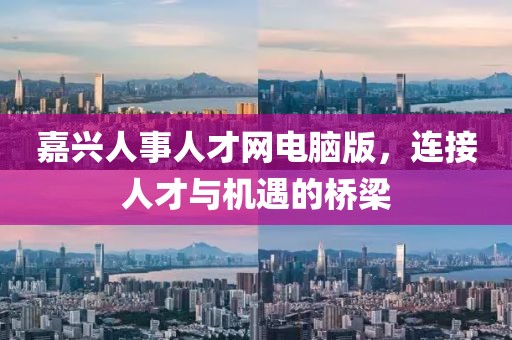 嘉兴人事人才网电脑版，连接人才与机遇的桥梁
