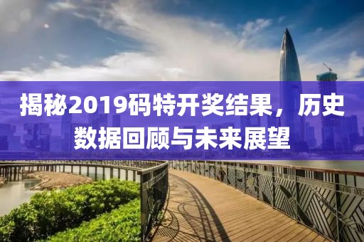 揭秘2019码特开奖结果，历史数据回顾与未来展望