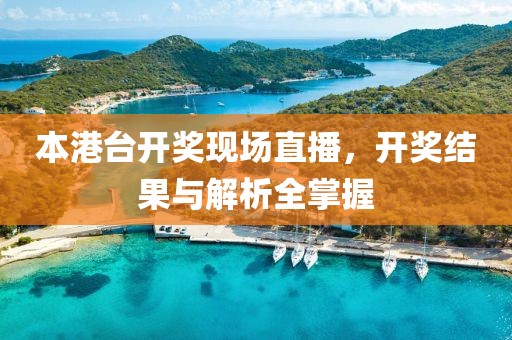 本港台开奖现场直播，开奖结果与解析全掌握