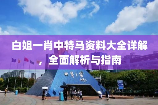白姐一肖中特马资料大全详解，全面解析与指南