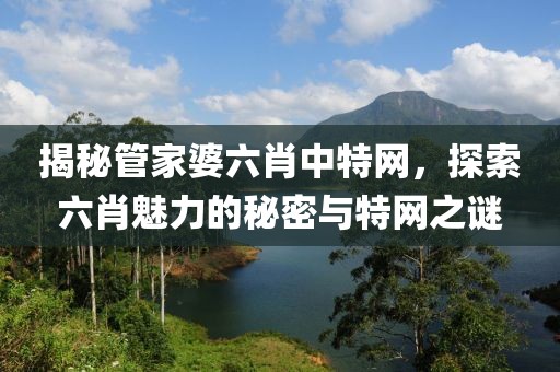 揭秘管家婆六肖中特网，探索六肖魅力的秘密与特网之谜