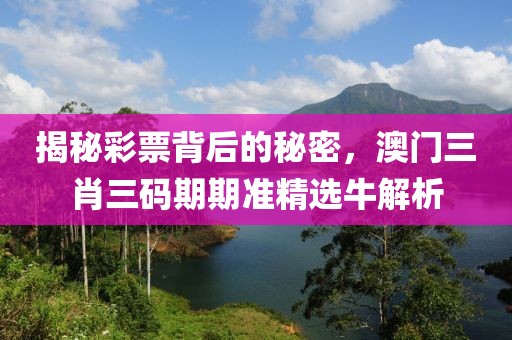 揭秘彩票背后的秘密，澳门三肖三码期期准精选牛解析
