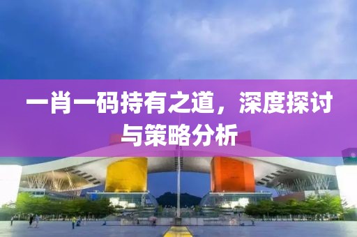 一肖一码持有之道，深度探讨与策略分析
