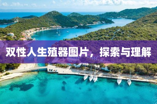 双性人生殖器图片，探索与理解