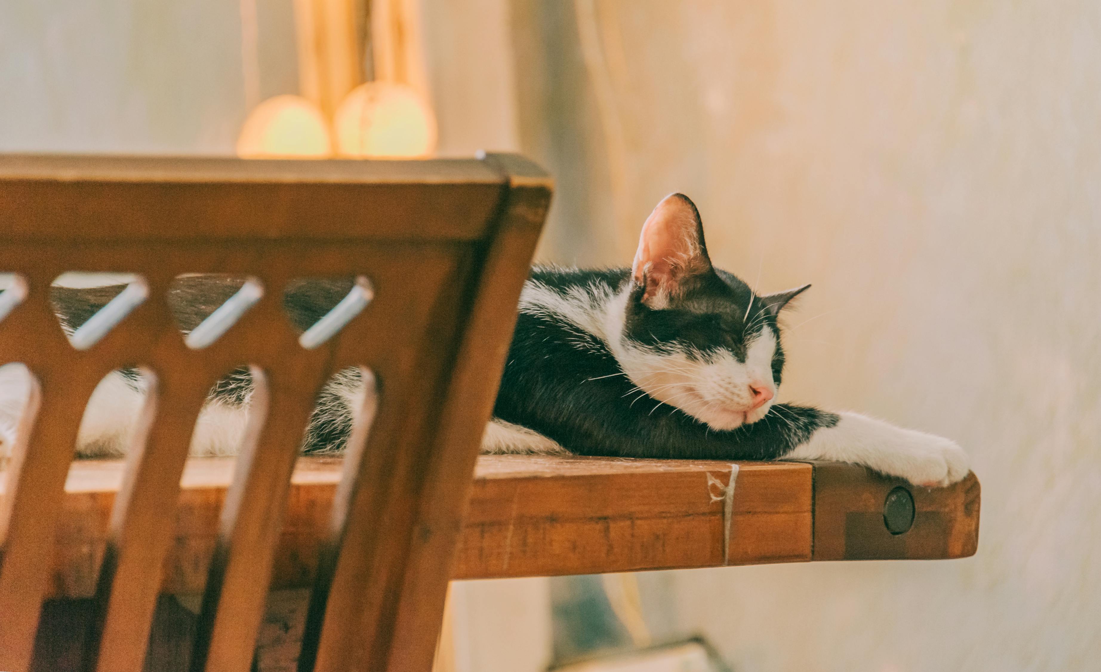 汉字猜字谜的乐趣探索