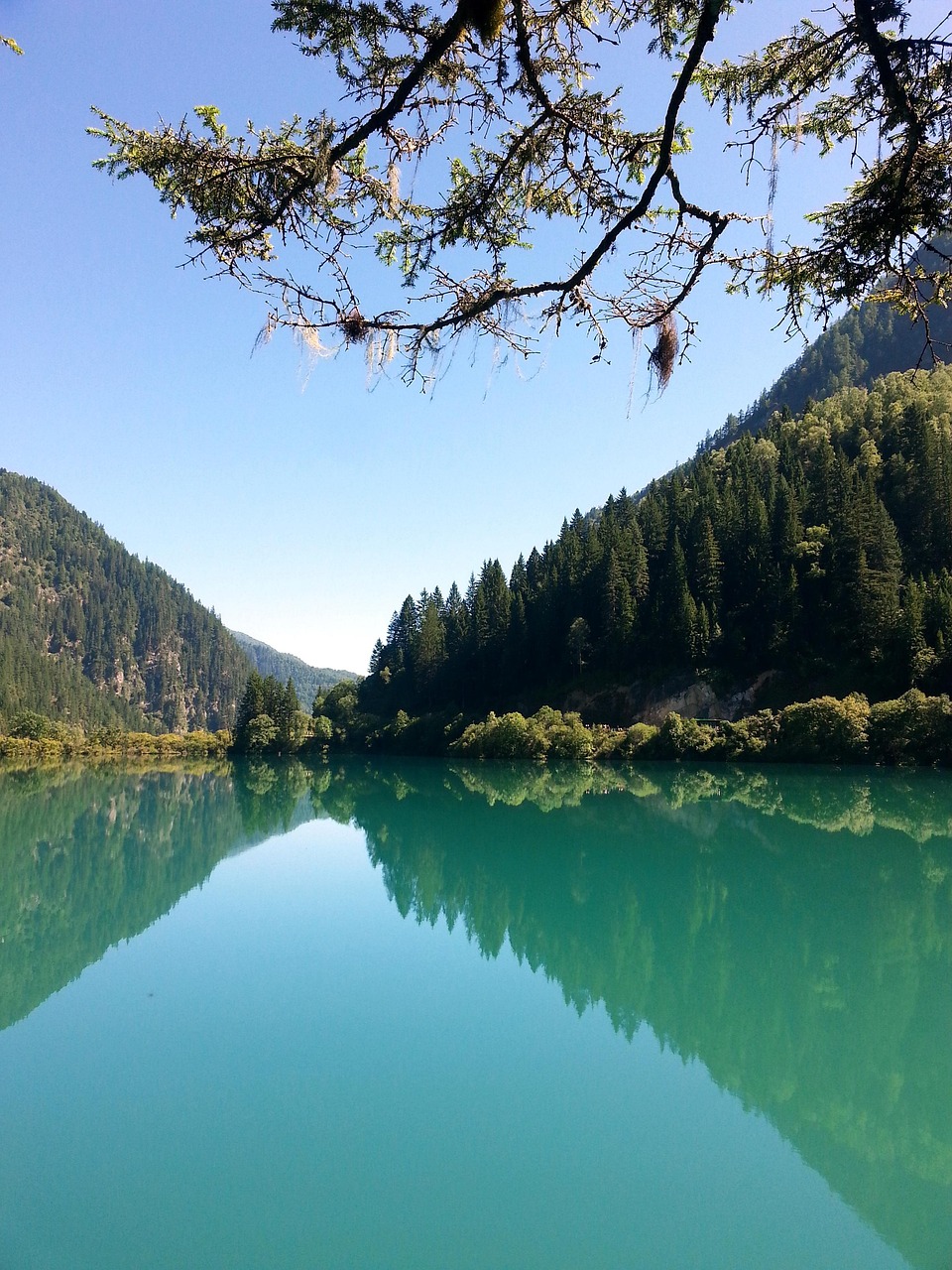九寨沟，人间仙境，绝美画卷之旅